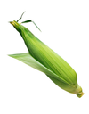 Yellow Corn