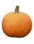 Big Moon Pumpkin
