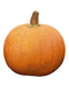 Big Moon Pumpkin