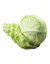 Green Cabbage