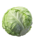 Green Cabbage