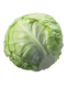 Green Cabbage