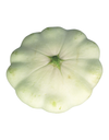 Patty Pan Squash