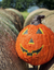 Pumpkin Decor