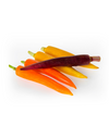 Colored Carrots