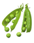 English Peas