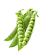 English Peas