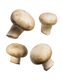 Organic White Mushrooms