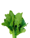 Fresh Baby Spinach