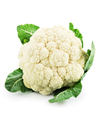 White Cauliflower