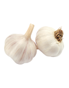 Organic Garlic