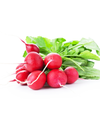 Red Radishes