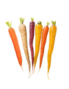 Colored Carrots