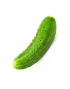 Green Cucumber