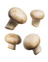 Organic White Mushrooms