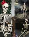 Halloween Scary Skull Bone